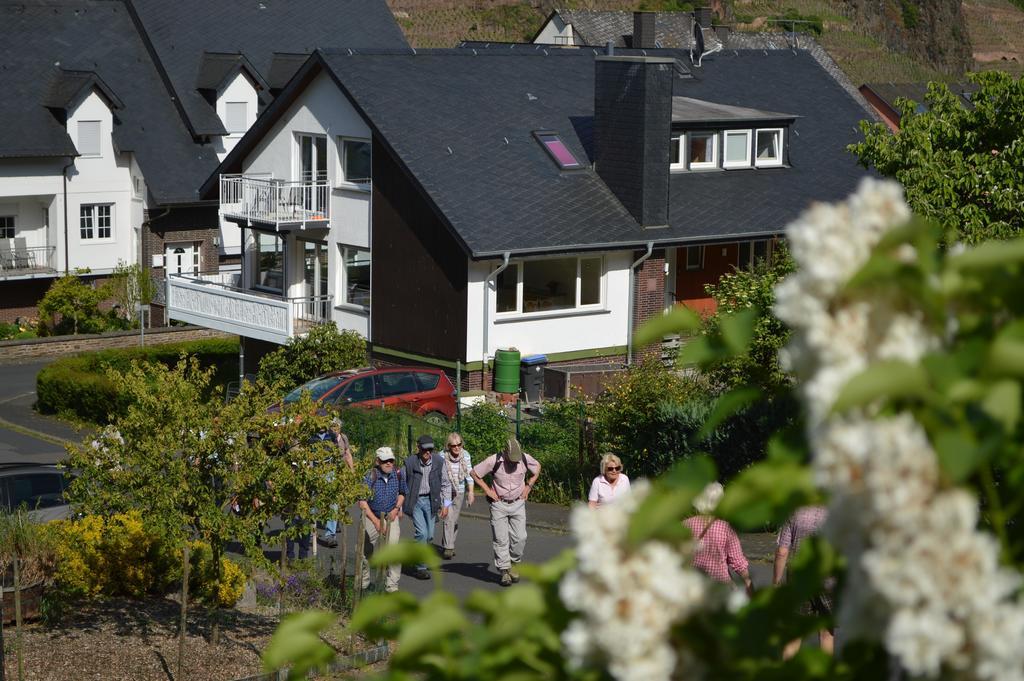 Апартаменти Weingut Im Moselkrampen Елленц-Польтерсдорф Екстер'єр фото